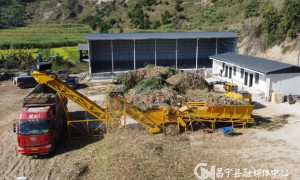 保山更戛：甘蔗丰收蔗农乐