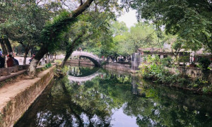 Copersucar：全球糖市供需整体平衡 糖价走势取决于乙醇消费需求