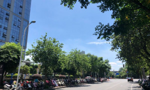 印度禁止食糖出口至 2026 年 9 月，以抑制国内糖价